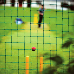 CRICKET NET