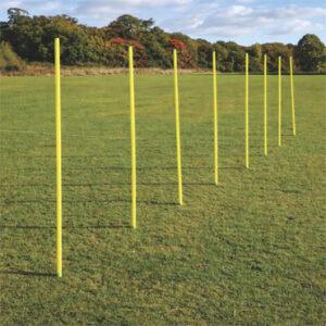 SLALOM POLES